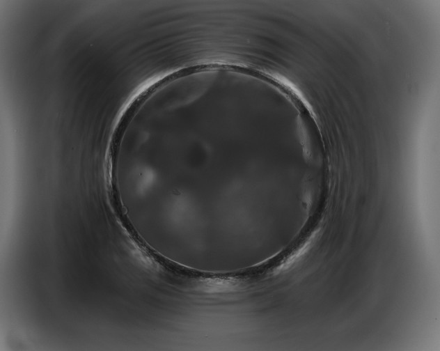 X0000086881125200704161215