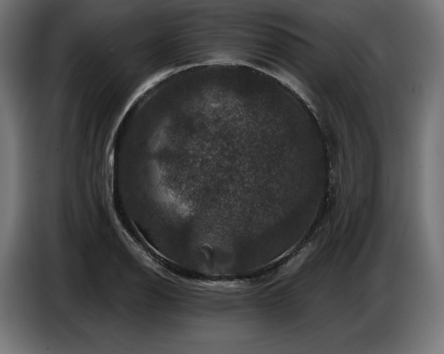 X0000086881126200704161215