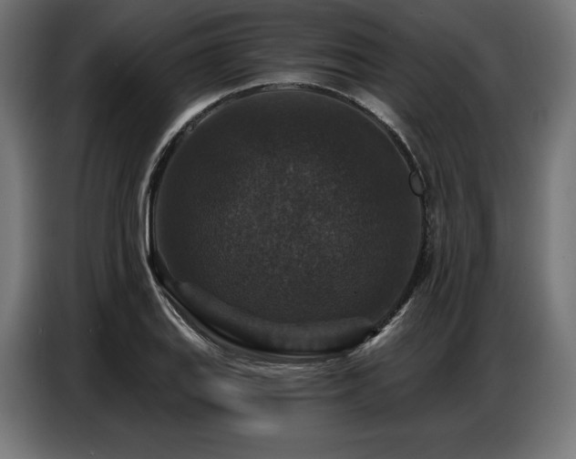 X0000086881127200704161215