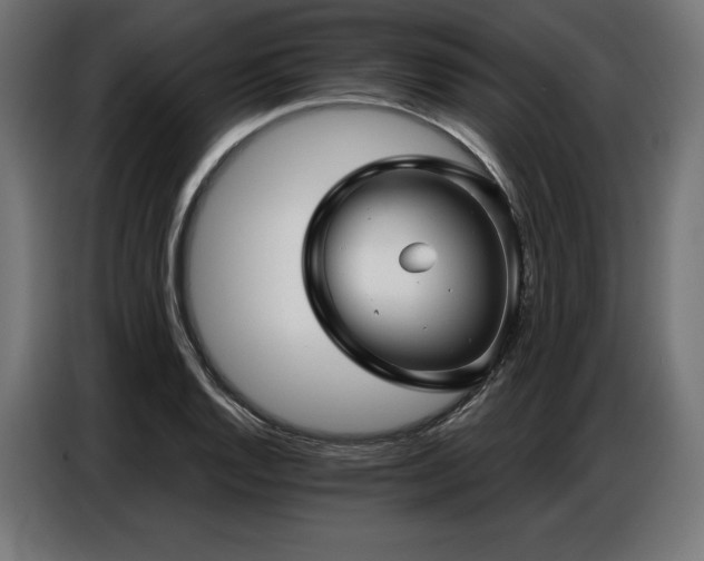 X0000086881128200704161215