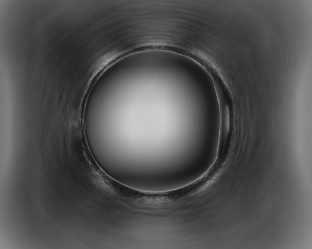 X0000086881129200704161215