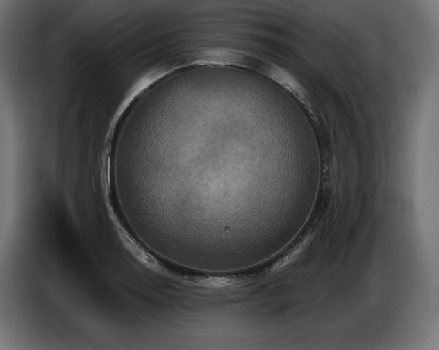 X0000086881130200704161215