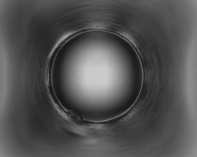 X0000086881131200704161215