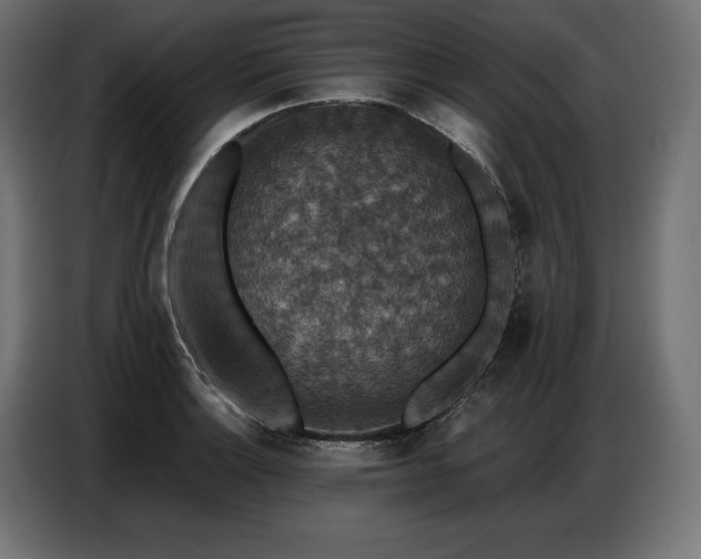 X0000086881132200704161215