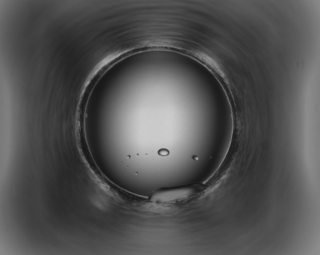 X0000086881133200704161215