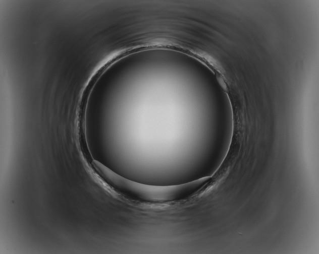 X0000086881134200704161215