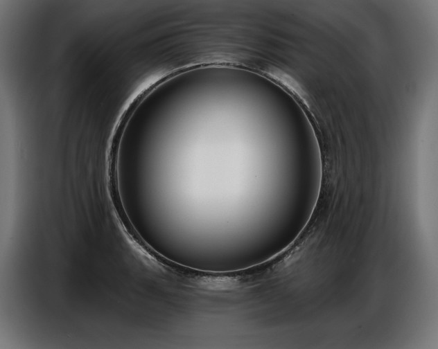 X0000086881135200704161215