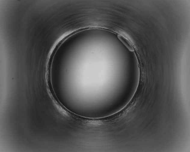 X0000086881136200704161215