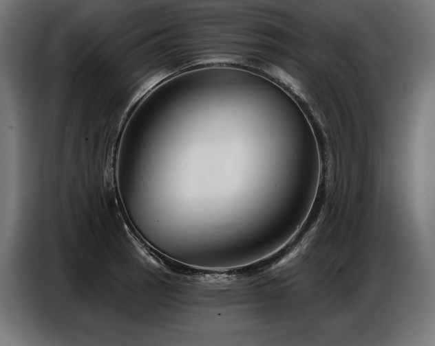 X0000086881137200704161215