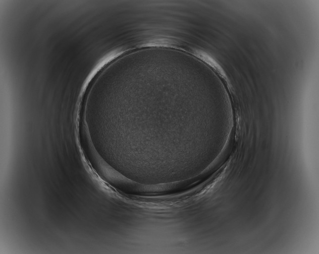 X0000086881138200704161215