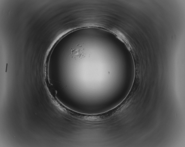 X0000086881140200704161215