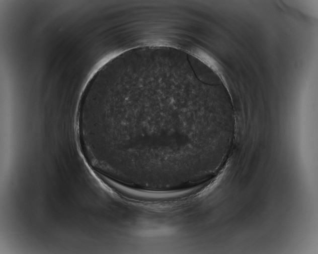 X0000086881141200704161215