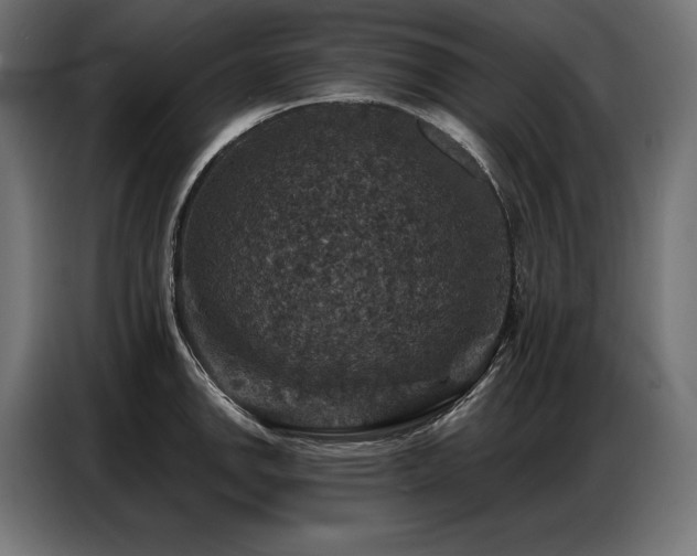 X0000086881142200704161215