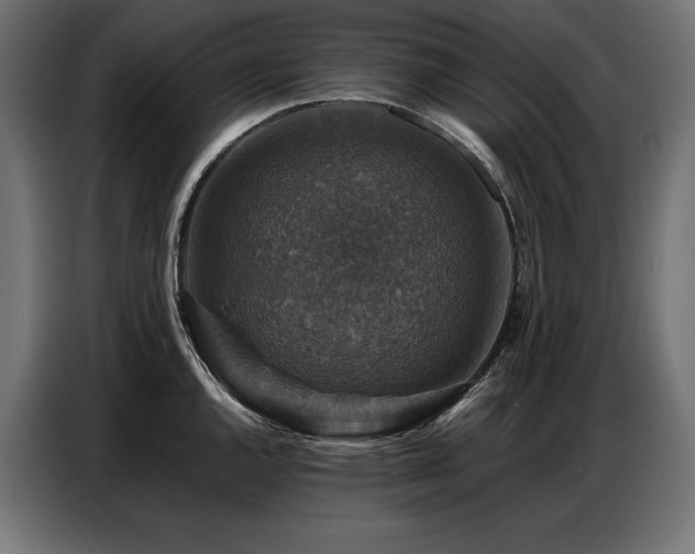 X0000086881144200704161215