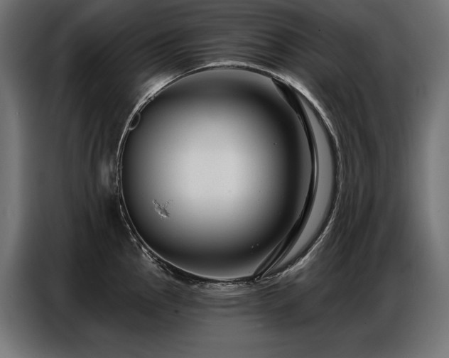 X0000086881145200704161215