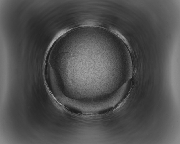 X0000086881146200704161215