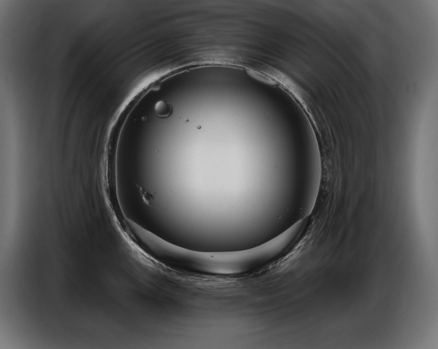 X0000086881147200704161215