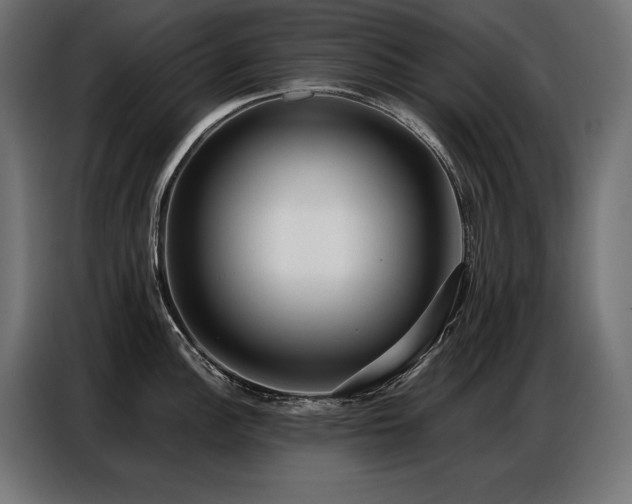 X0000086881148200704161215