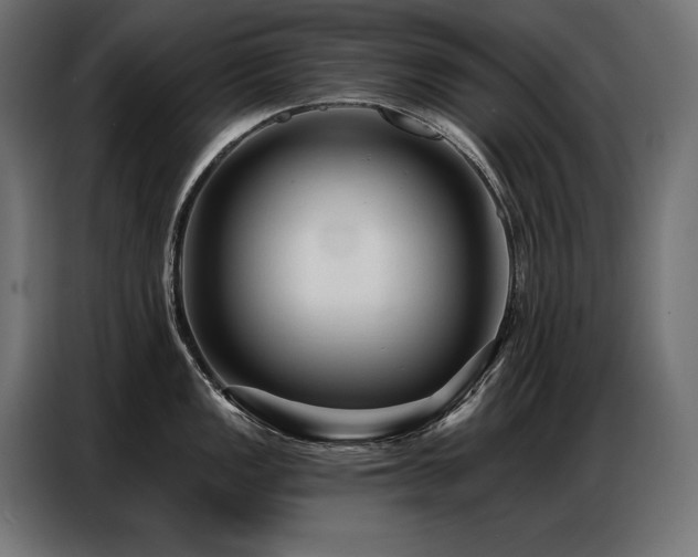 X0000086881149200704161215