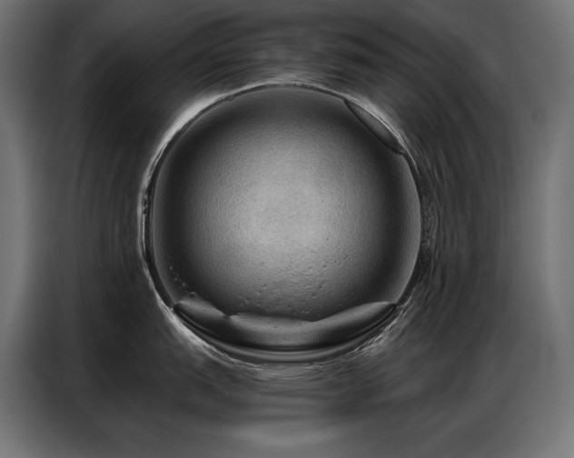 X0000086881151200704161215