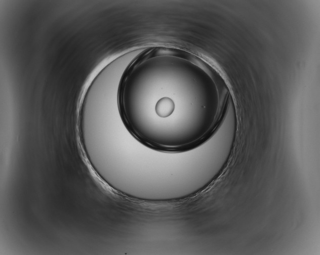 X0000086881152200704161215