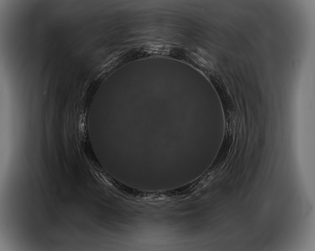 X0000086881154200704161214