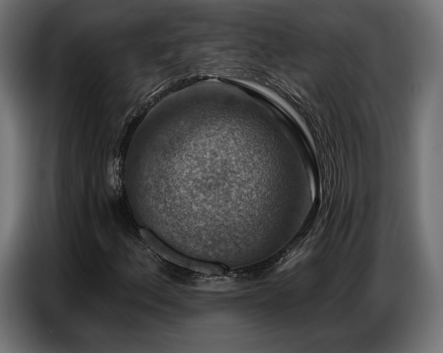 X0000086881156200704161214