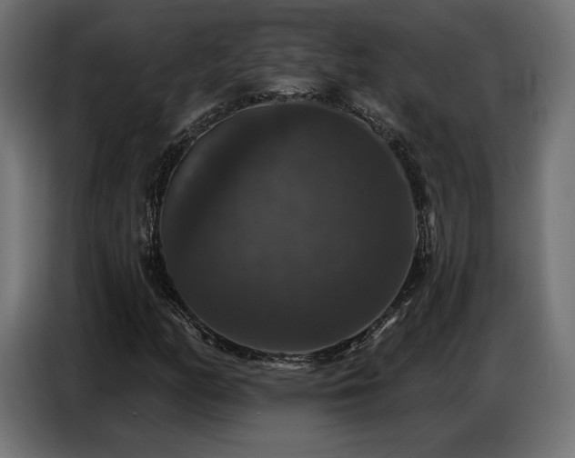 X0000086881158200704161214