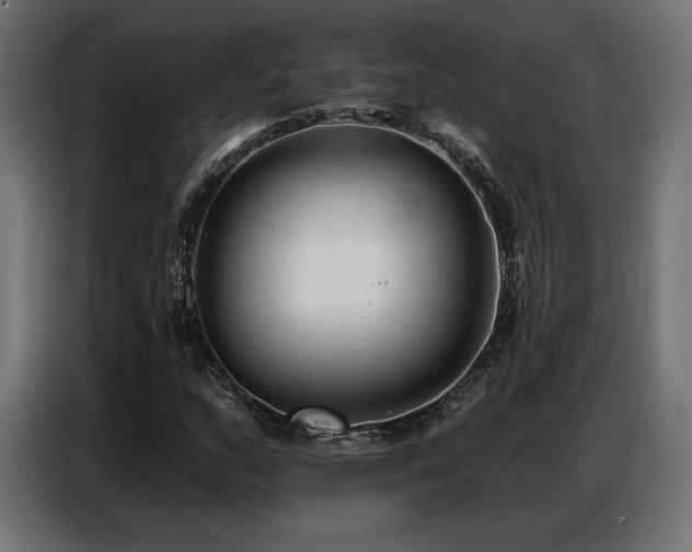 X0000086881159200704161214