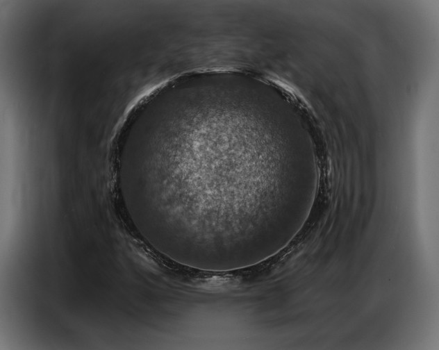 X0000086881160200704161214