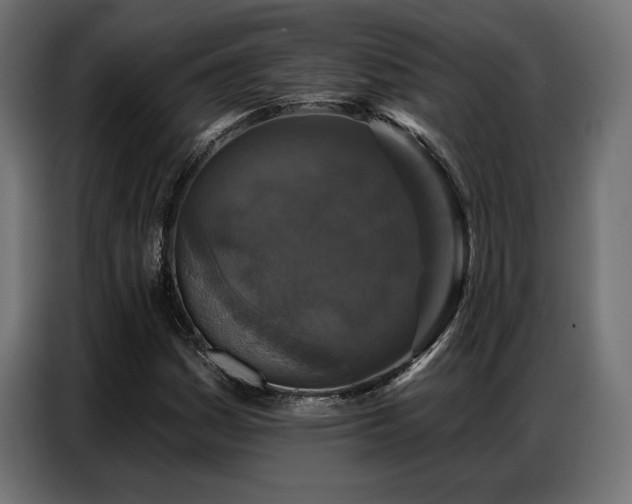 X0000086881161200704161214