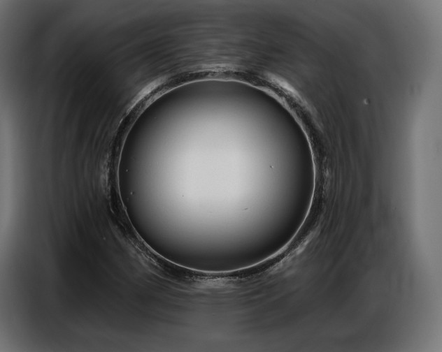 X0000086881162200704161214