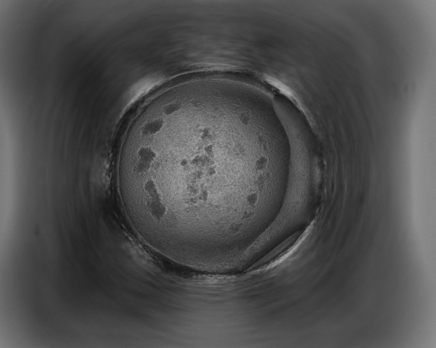 X0000086881163200704161214