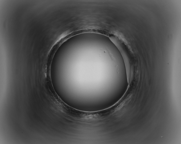 X0000086881165200704161214