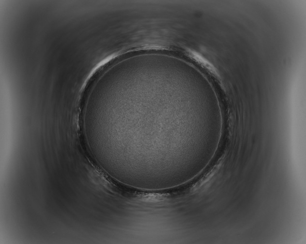 X0000086881166200704161214