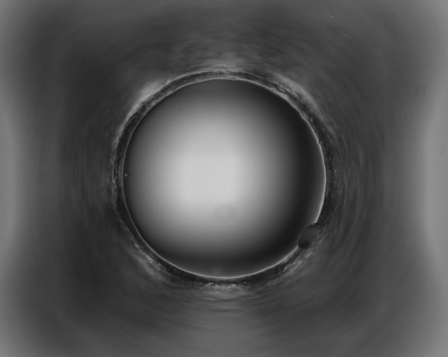 X0000086881168200704161214