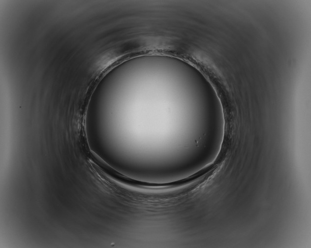 X0000086881169200704161214