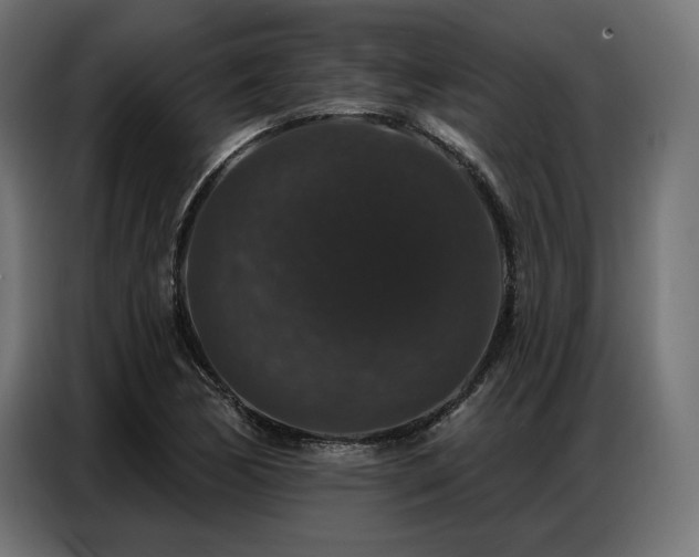 X0000086881170200704161214