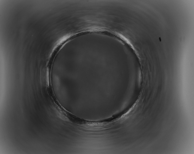 X0000086881171200704161214