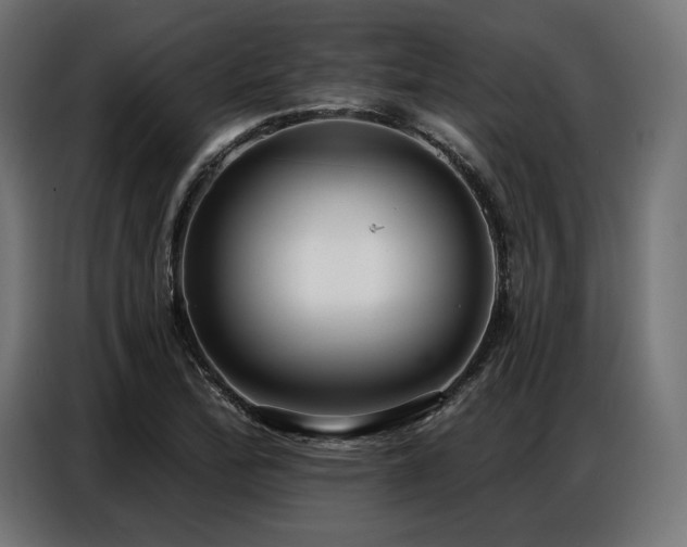 X0000086881172200704161214