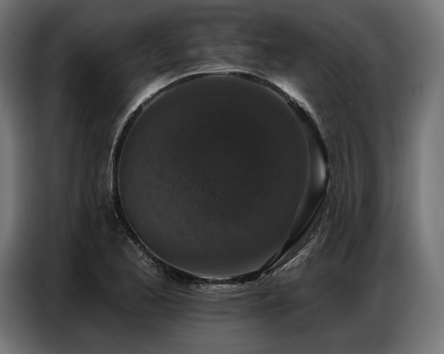 X0000086881173200704161214