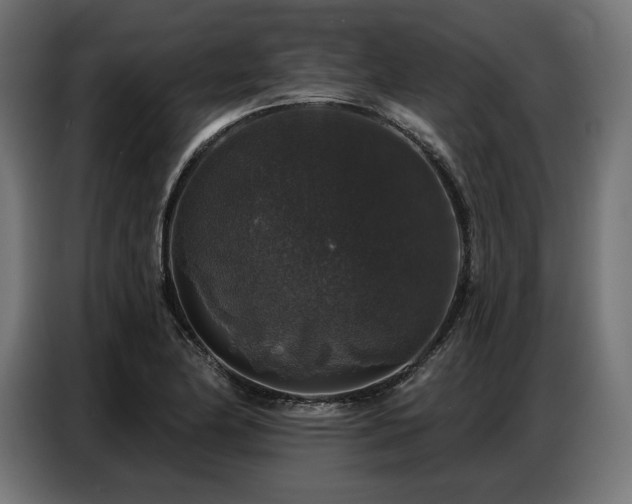 X0000086881174200704161214