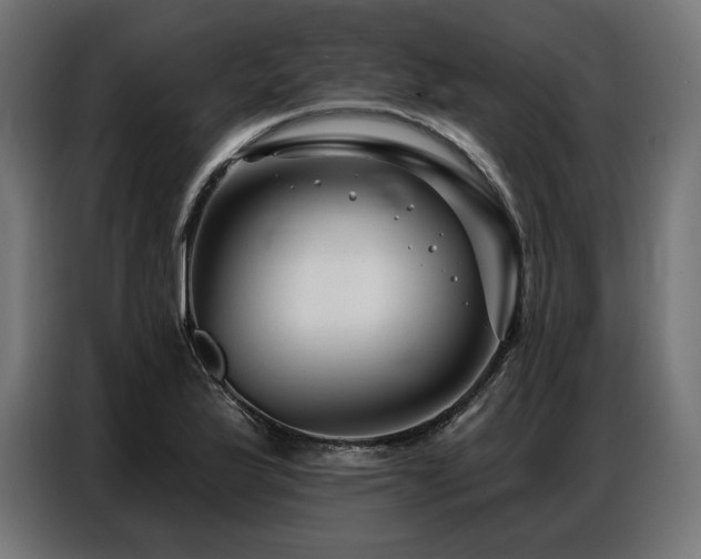 X0000086881175200704161214