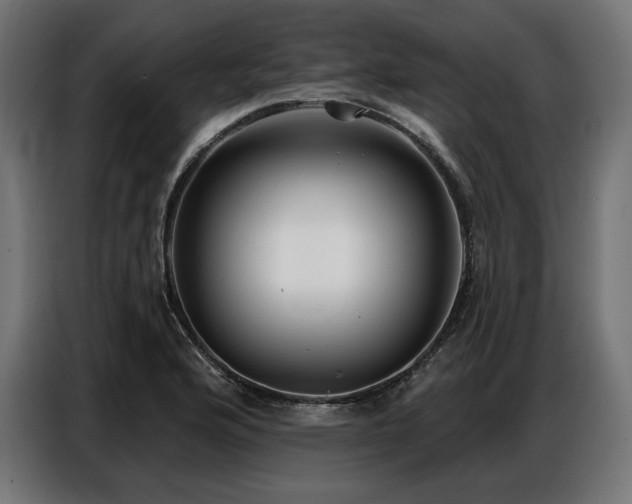 X0000086881176200704161214