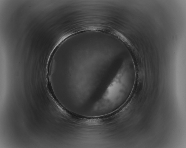 X0000086881178200704161214