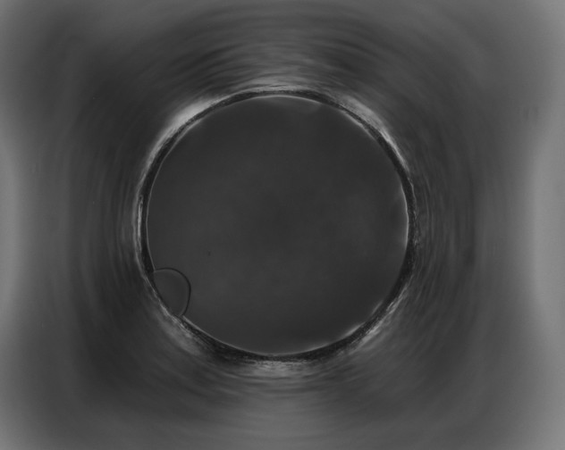 X0000086881179200704161214