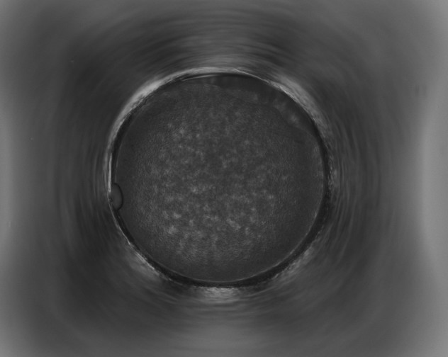 X0000086881180200704161214