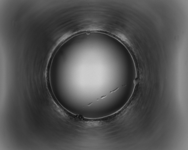 X0000086881181200704161214