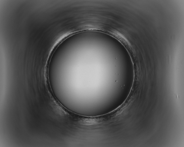 X0000086881182200704161214