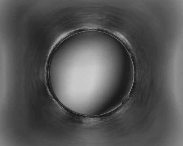 X0000086881183200704161214